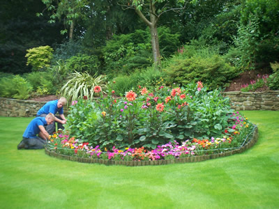 Garden Maintenance - Flower bed care, weed control, tidying, renovation and maintenance