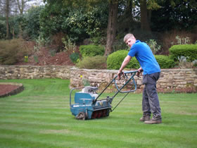 Lawn care – mowing, strimming, turfing, seeding and feeding
