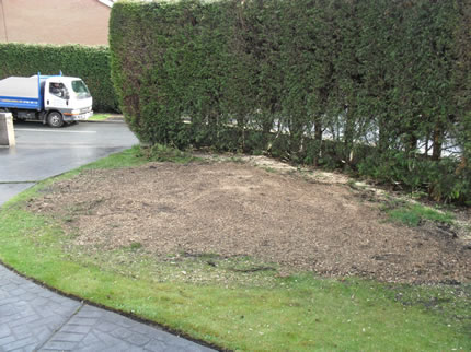 Tree stump grinding - after stump removal and ground reinstatement